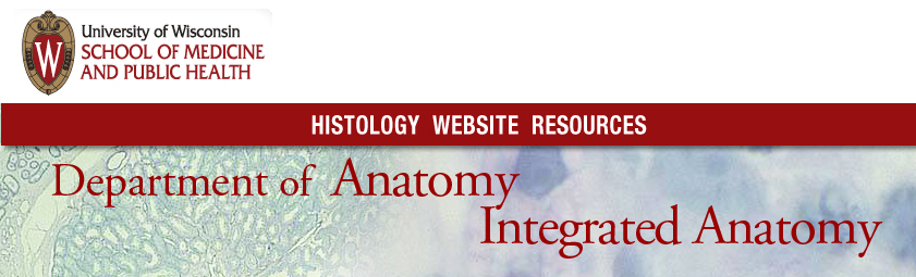Histology_banner_v1